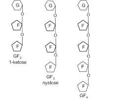 Danagut Capsules 26 7th