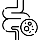 Danagut Capsules 19 guts